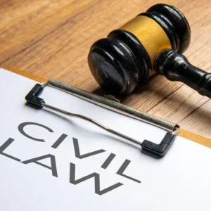 The Litigation Attorney will be responsible for representing clients in civil