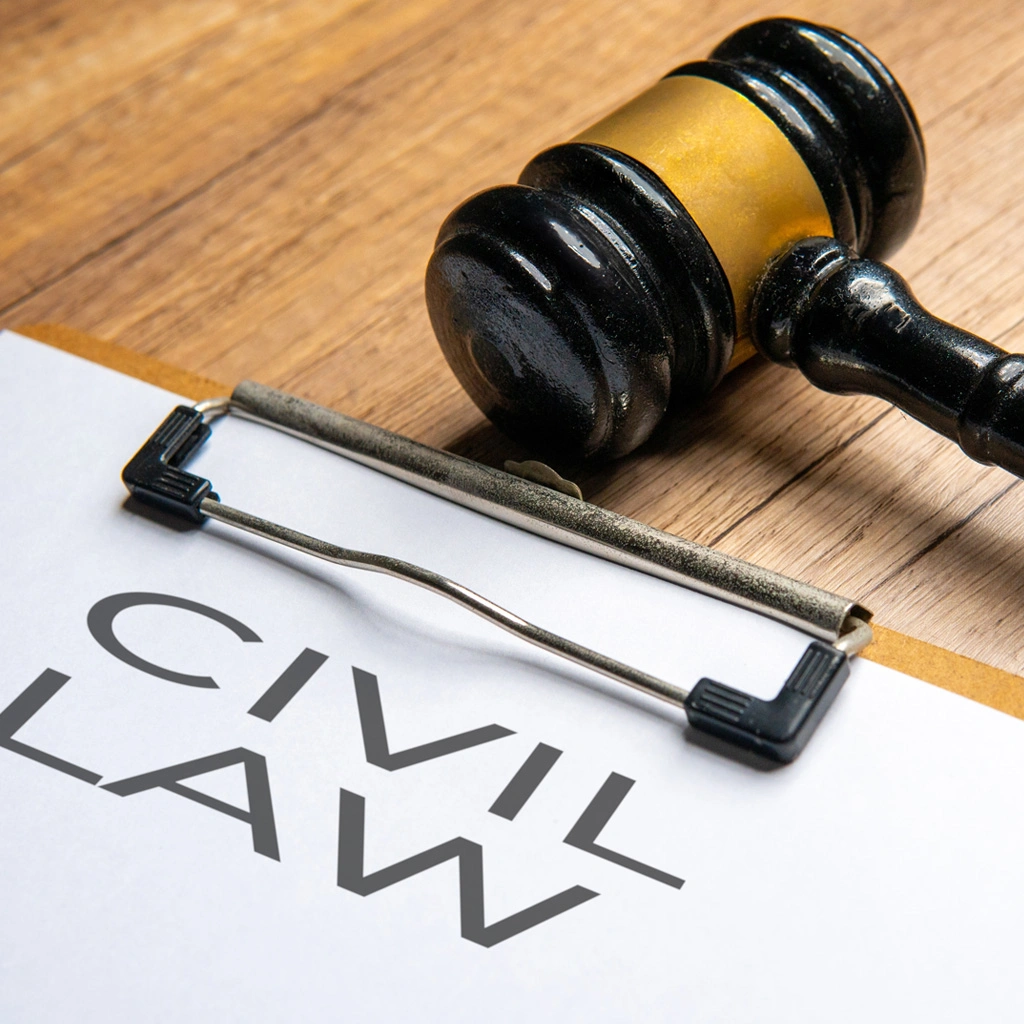 The Litigation Attorney will be responsible for representing clients in civil